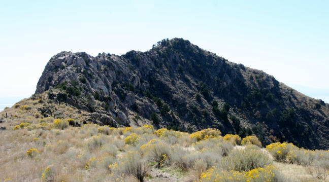 Click for Photos