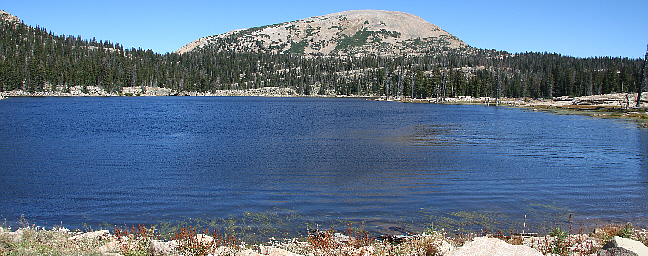 Click for Photos
