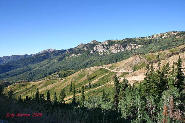 Willard Peak Photo 1