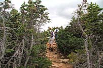 Click for large photo