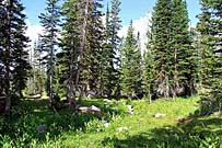 Click for large photo