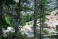 Click for large photo