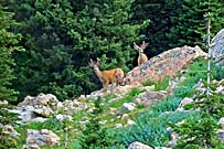 Click for large photo