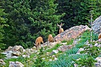 Click for large photo