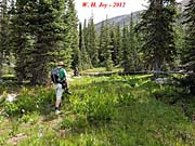 Click for large photo