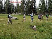 Click for large photo