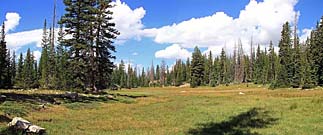 Click for large photo