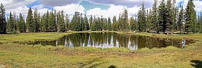 Click for large photo