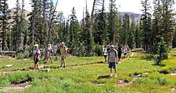 Click for large photo