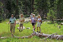 Click for large photo