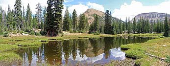 Click for large photo