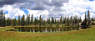 Click for large photo