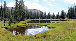 Click for large photo