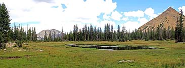 Click for large photo