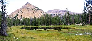 Click for large photo