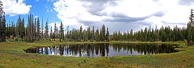 Click for large photo