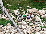 Click for large photo