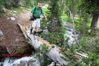 Click for large photo