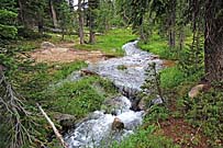 Click for large photo