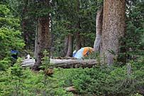 Click for large photo