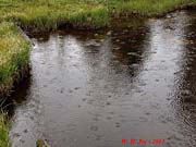 Click for large photo