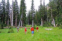 Click for large photo