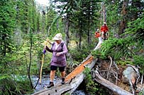 Click for large photo