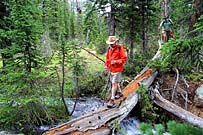 Click for large photo