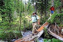 Click for large photo