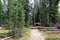 Click for large photo