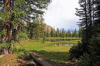 Click for large photo