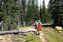 Click for large photo