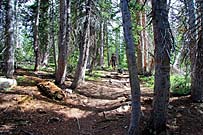 Click for large photo