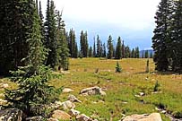 Click for large photo