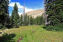 Click for large photo