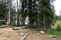 Click for large photo