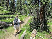 Click for large photo