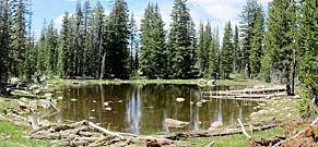 Click for large photo