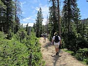 Click for large photo