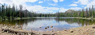 Click for large photo