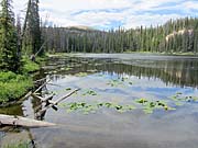 Click for large photo