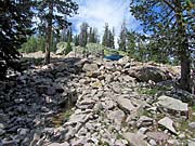 Click for large photo