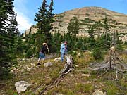 Click for large photo