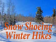  More Snow Shoeing 
 