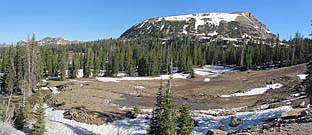 Click for large photo