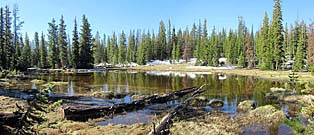 Click for large photo