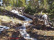 Click for large photo