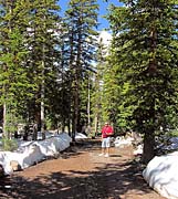 Click for large photo