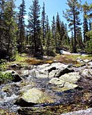 Click for large photo