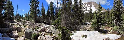 Click for large photo